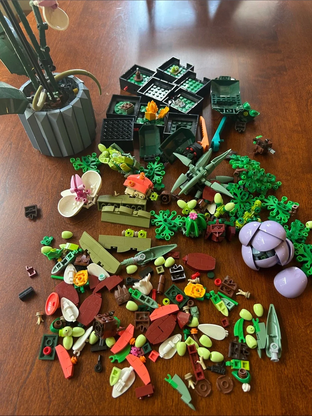 LEGO - Botanical Orchid and Succulent Set